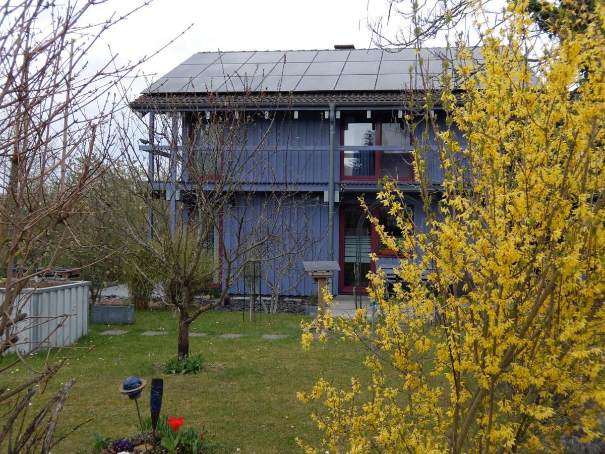 Blaues Haus - Une Maison Bleue Apartment Hetzerath Exterior photo