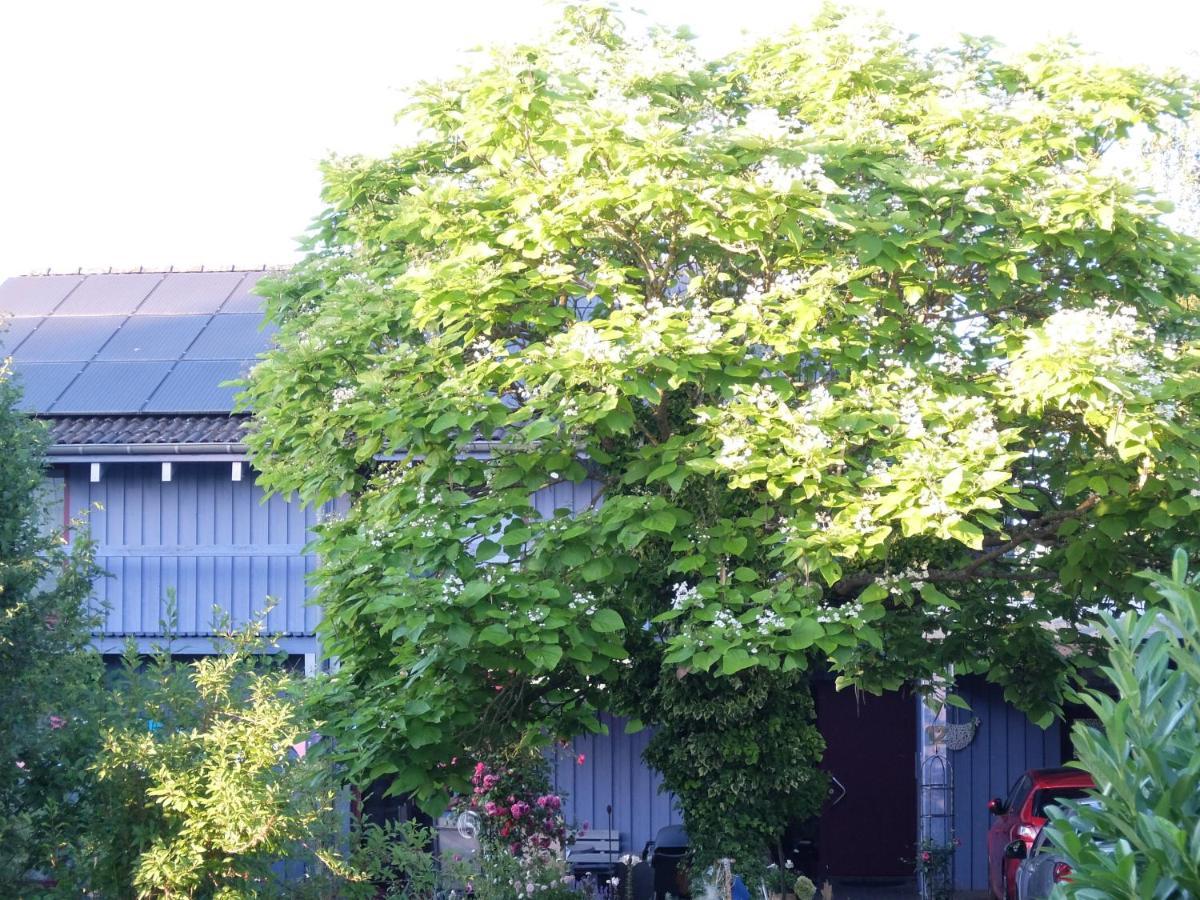 Blaues Haus - Une Maison Bleue Apartment Hetzerath Exterior photo